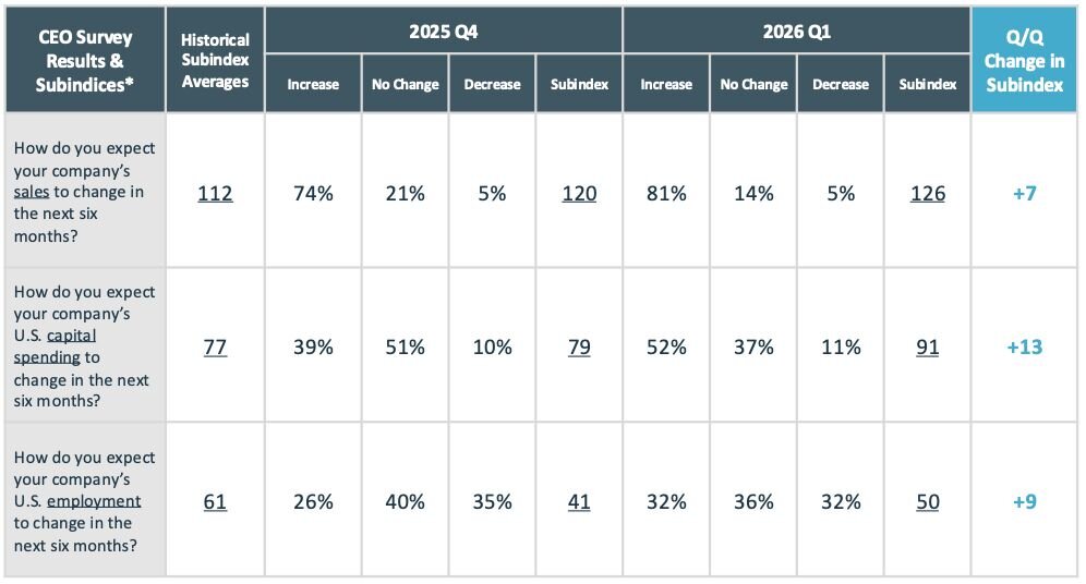 CEO survey data table preview
