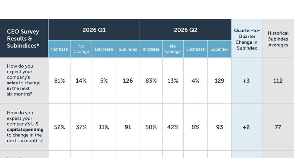 CEO survey data table preview